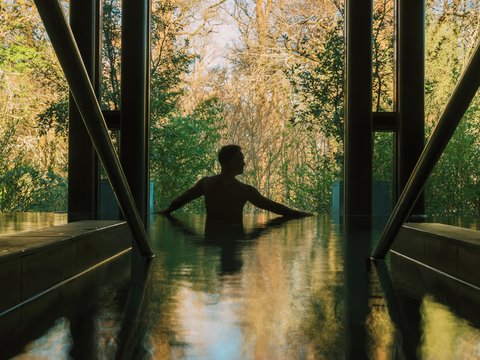 Hydropool Forest View