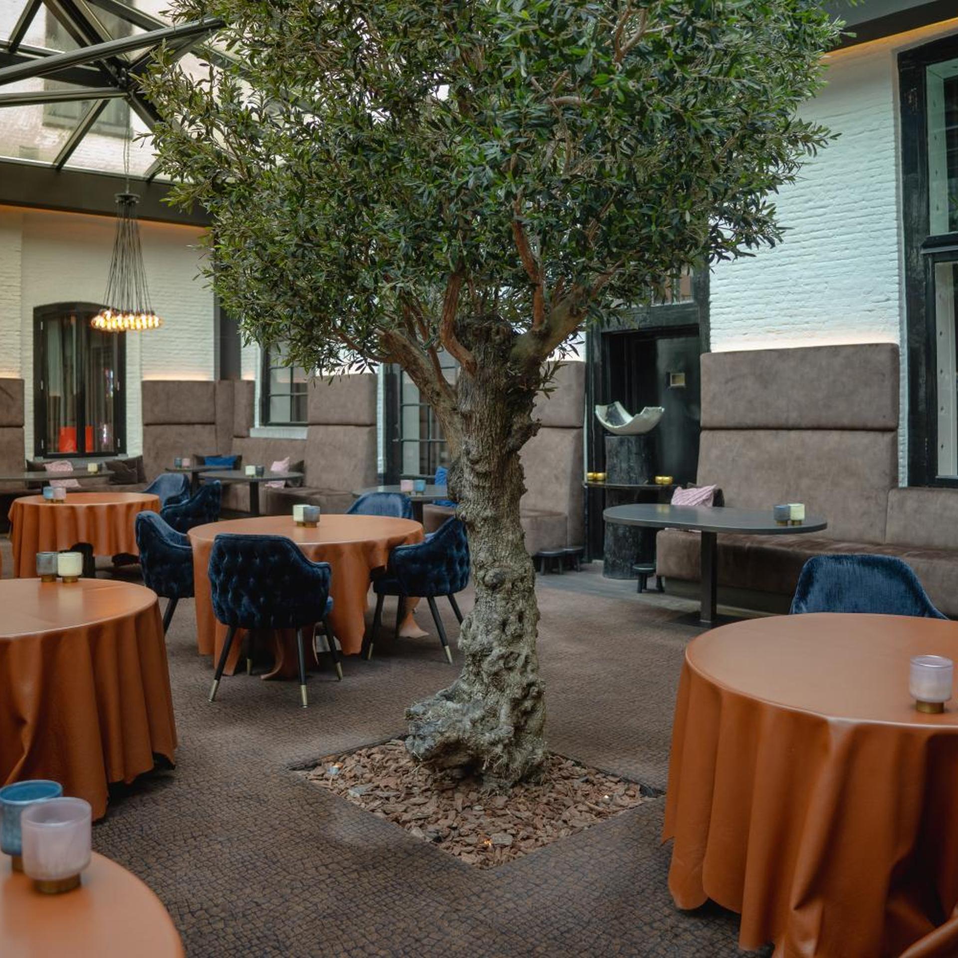 Restaurant-cafeteria