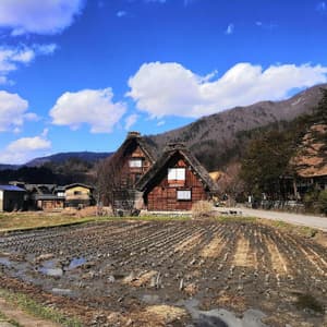 thumbnail: General view