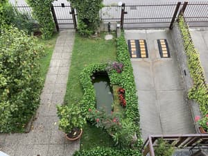 thumbnail: Garden view