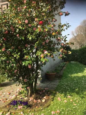 thumbnail: Garden