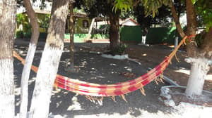 thumbnail: Property amenity