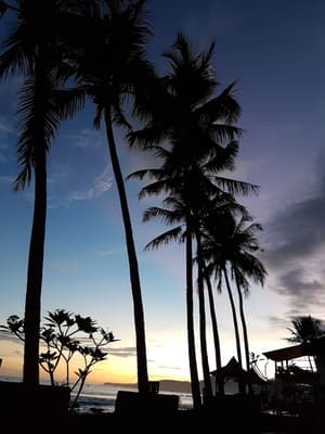 thumbnail: View from property