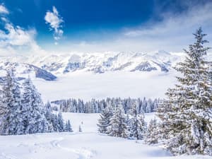 thumbnail: View from property