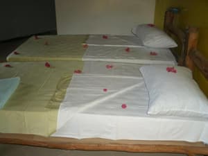 thumbnail: 21035185.jpg