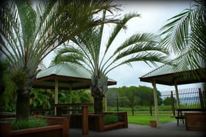 thumbnail: Outdoor dining