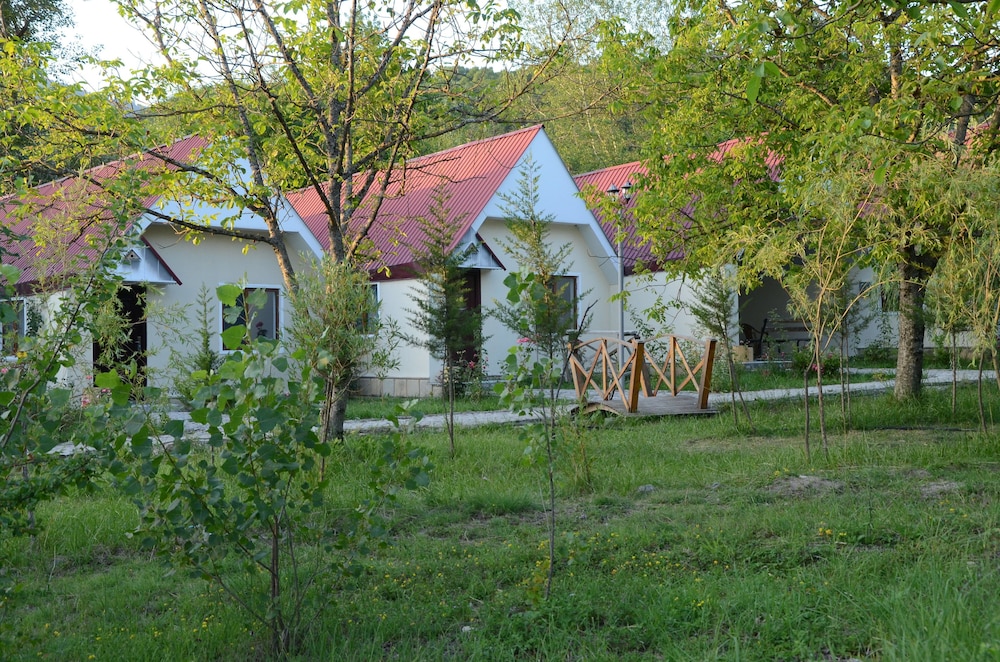 Primary image