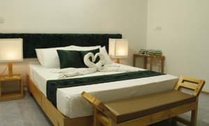 thumbnail: General view