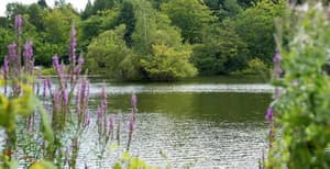 thumbnail: General view