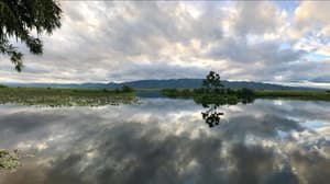 thumbnail: Lake