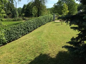 thumbnail: View from property