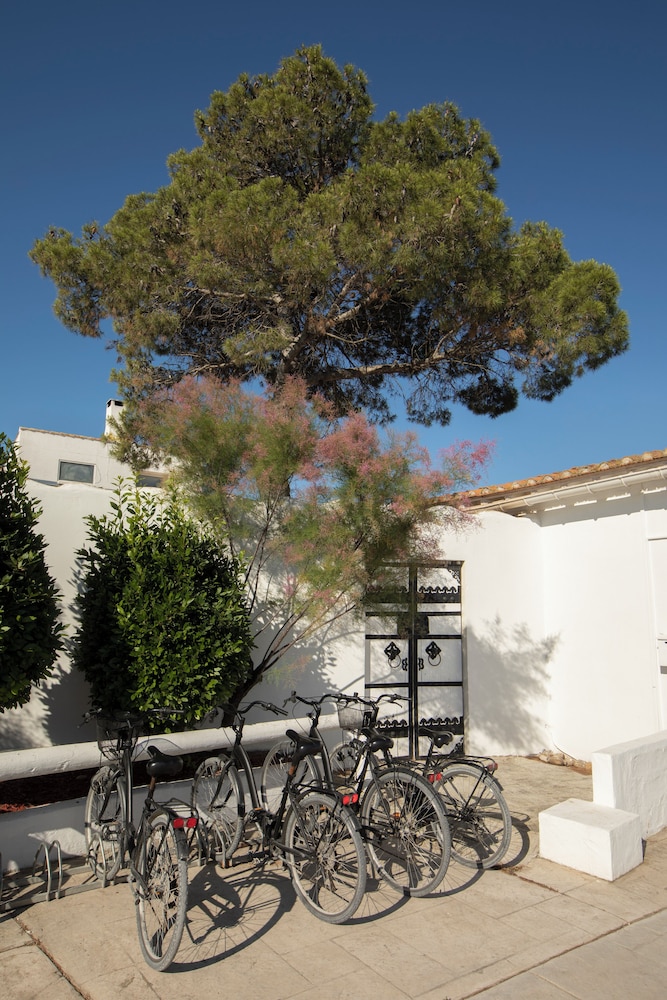 Bicycling