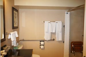 thumbnail: Accessible bathroom