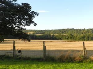 thumbnail: Property grounds