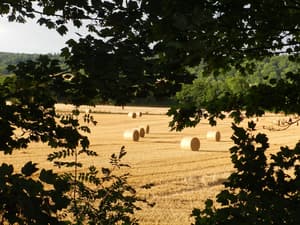 thumbnail: Property grounds