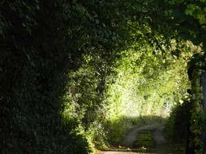 thumbnail: Property grounds