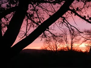 thumbnail: Property grounds