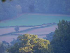 thumbnail: Property grounds