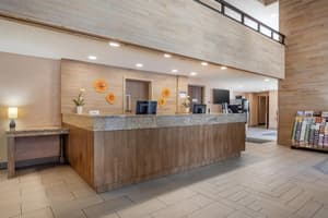 thumbnail: Reception