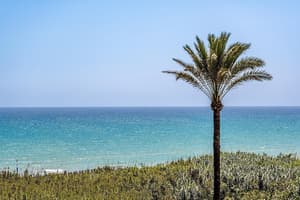thumbnail: Beach