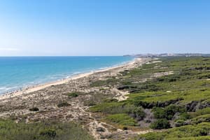 thumbnail: Beach