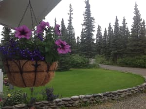 thumbnail: Property grounds