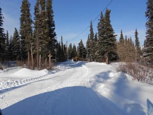 thumbnail: Snow and ski sports