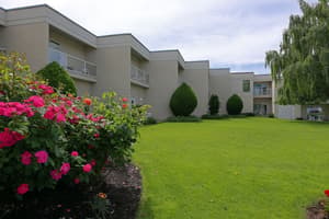 thumbnail: Garden view