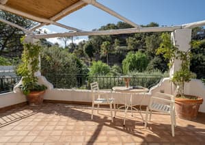 thumbnail: Terrace/patio