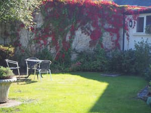 thumbnail: Garden