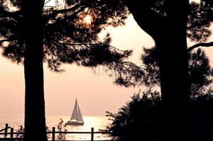 thumbnail: Lake