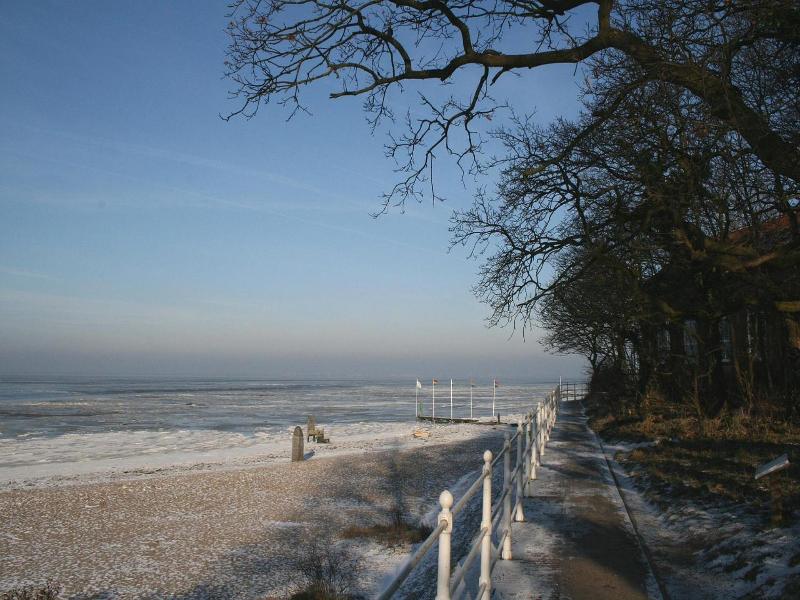General view