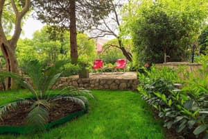 thumbnail: Garden