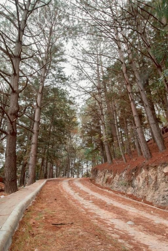 Land view from property