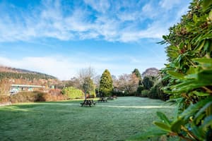 thumbnail: Garden view