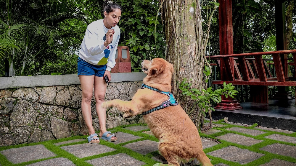 Pet-friendly