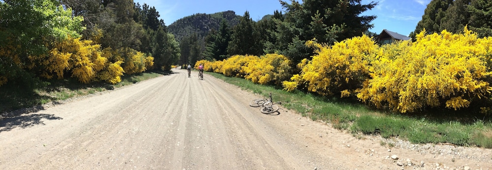 Bicycling