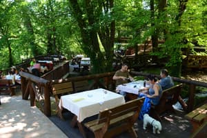 thumbnail: Outdoor dining