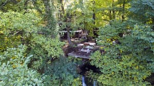 thumbnail: Garden