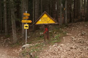 thumbnail: Hiking