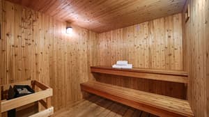 thumbnail: Sauna