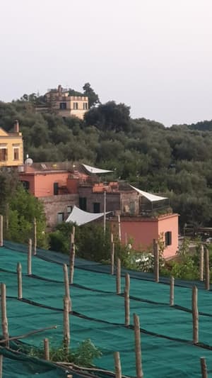 Residence L