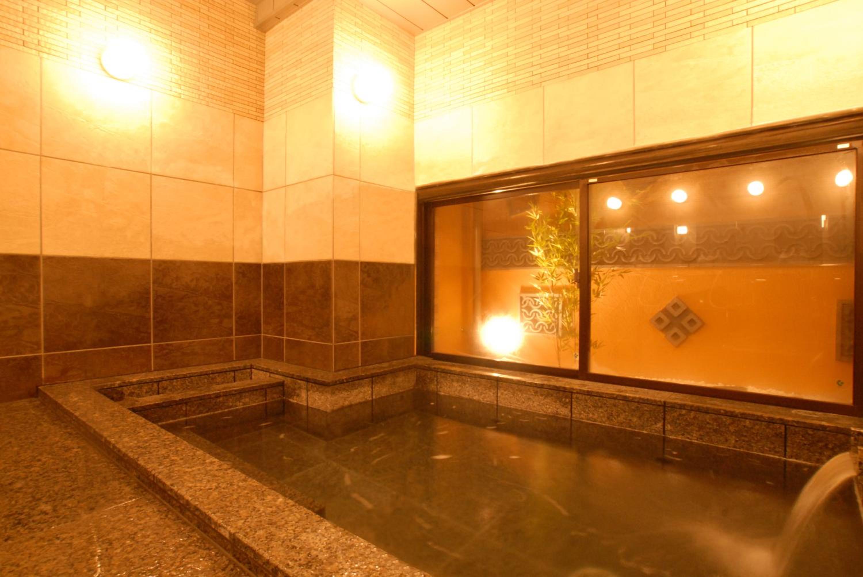 Swimming pool-spa
