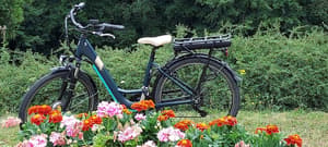 thumbnail: Bicycling