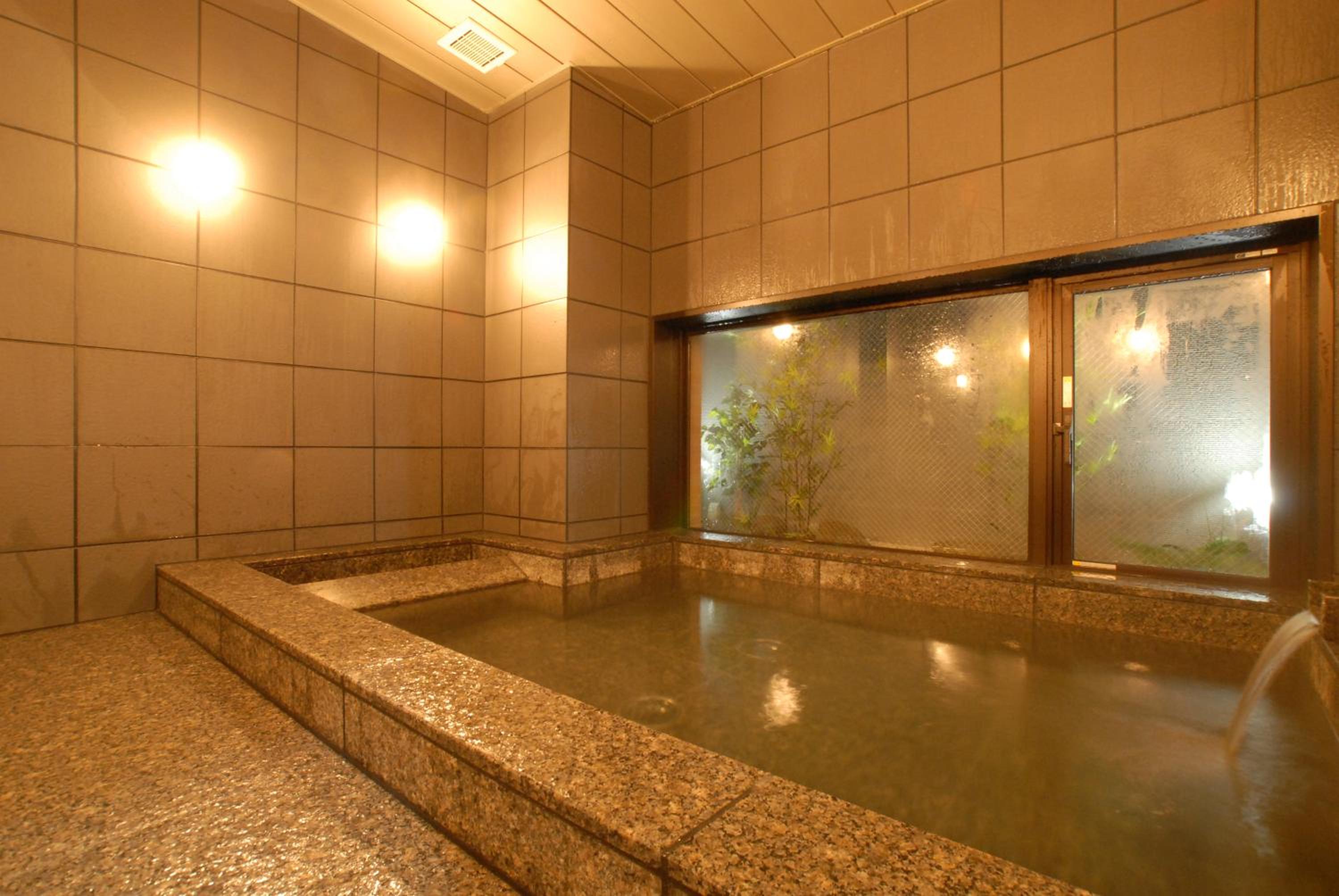 Swimming pool-spa