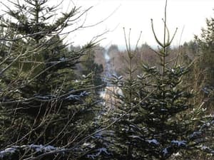 thumbnail: Miscellaneous