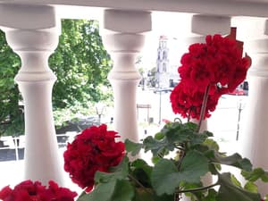 thumbnail: Terrace/patio