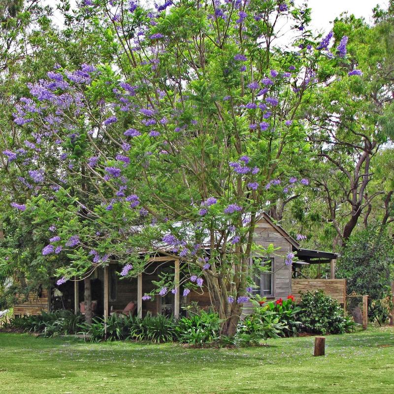 General view