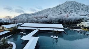thumbnail: Garden