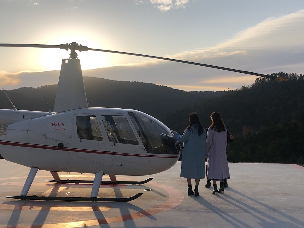 Helicopter/plane tours